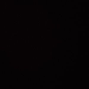 Meet your Posher, Cassidy